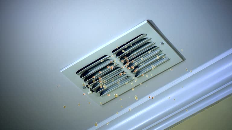 Best Local Air Duct Cleaning Services  in Ore City, TX